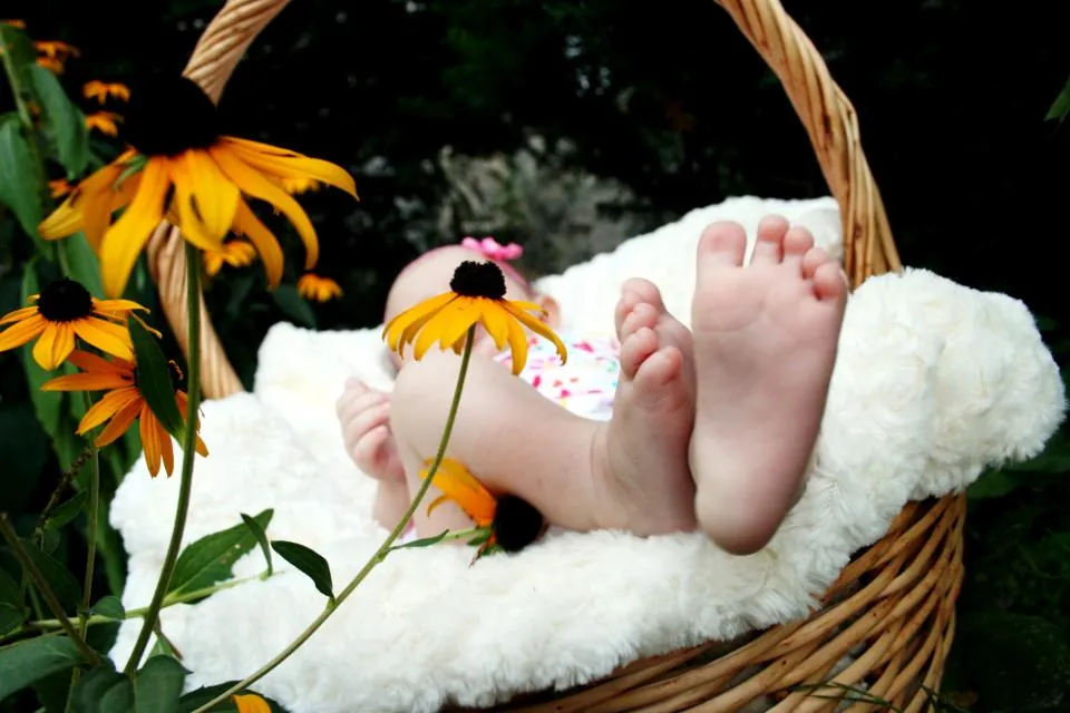 Pies de un bebé entre flores